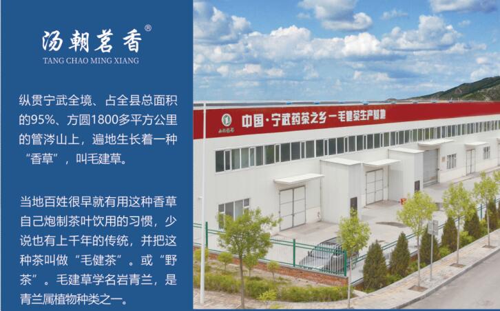 芦芽仙草毛健茶